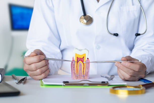 Best Dentist for Tooth Abscess  in Decatur, IN